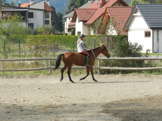 Babie Lato 2016